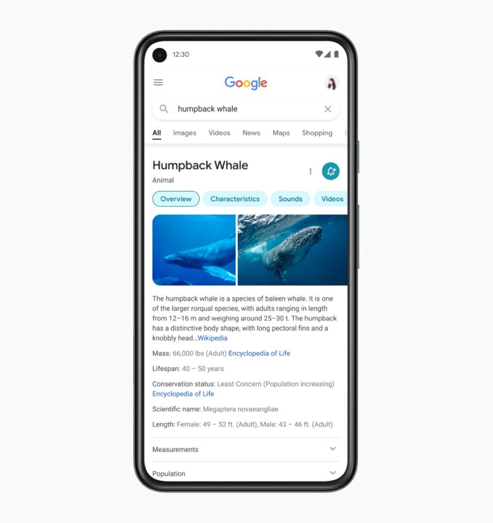 New Google Search Interface Mobile View 966x1024