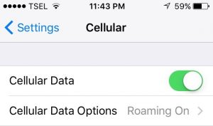 Cellular data turned on