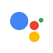 The Google Assistant