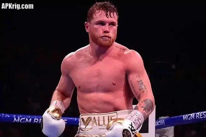 Canelo Next Fight: Anticipating the Next Thrilling Showdown